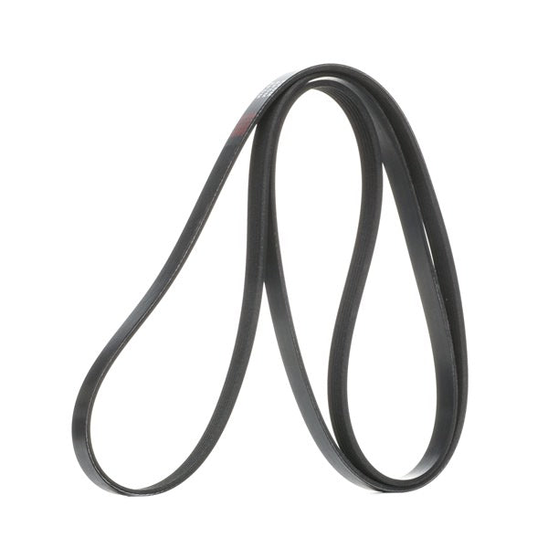 RIDEX Engine Auxiliary Belt – Non Air Con • 305P0248