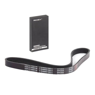 RIDEX Alternator & Air Conditioning Auxiliary Belt • 305P0549