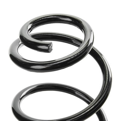RIDEX Rear Suspension Coil Spring • 188C0915