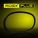RIDEX PLUS Alternator & Water Pump V-Belt • 10C0038P
